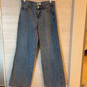 Pacific Sunwear Casey Low Rise Baggy Jeans